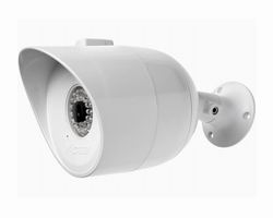 Shell White